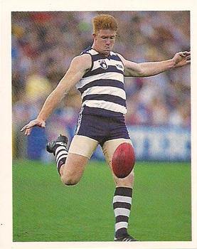 1993 Select AFL Stickers #139 Tim McGrath Front